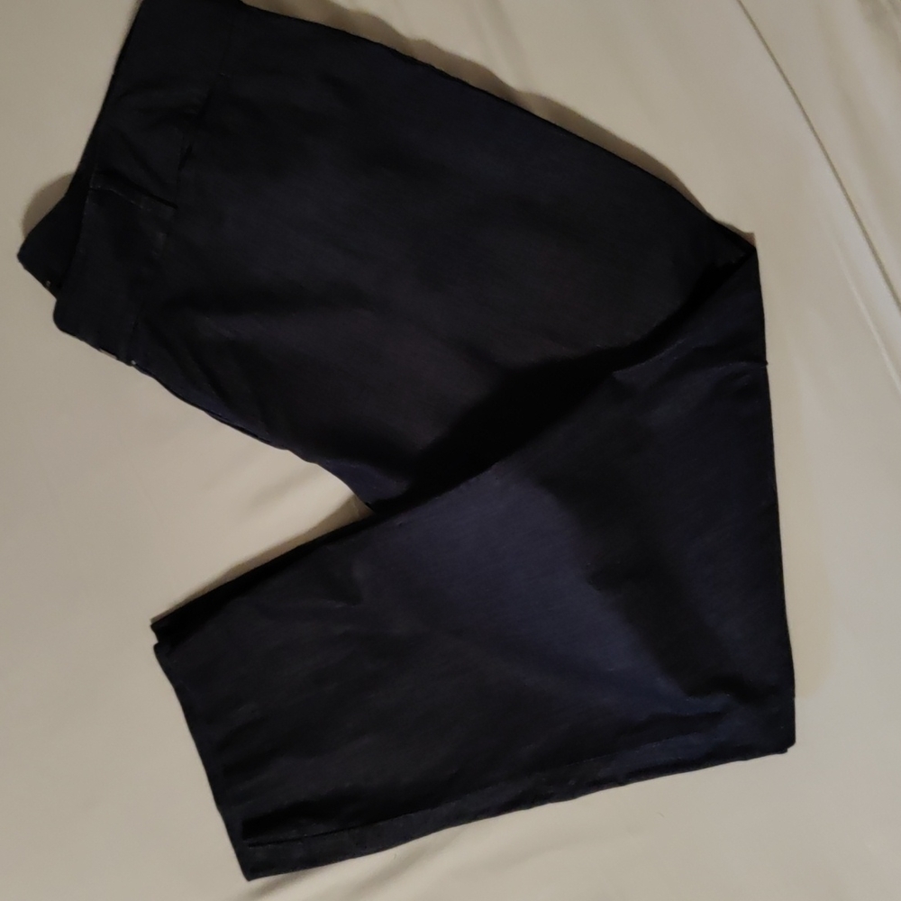 Ann Taylor Factory Julie Cury Capri